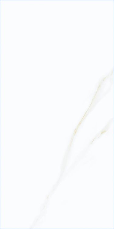 Time Cielo Matte 12 x 24